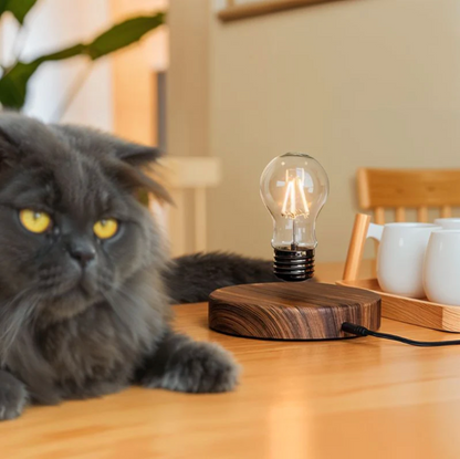 Levitating Lightbulb Lamp