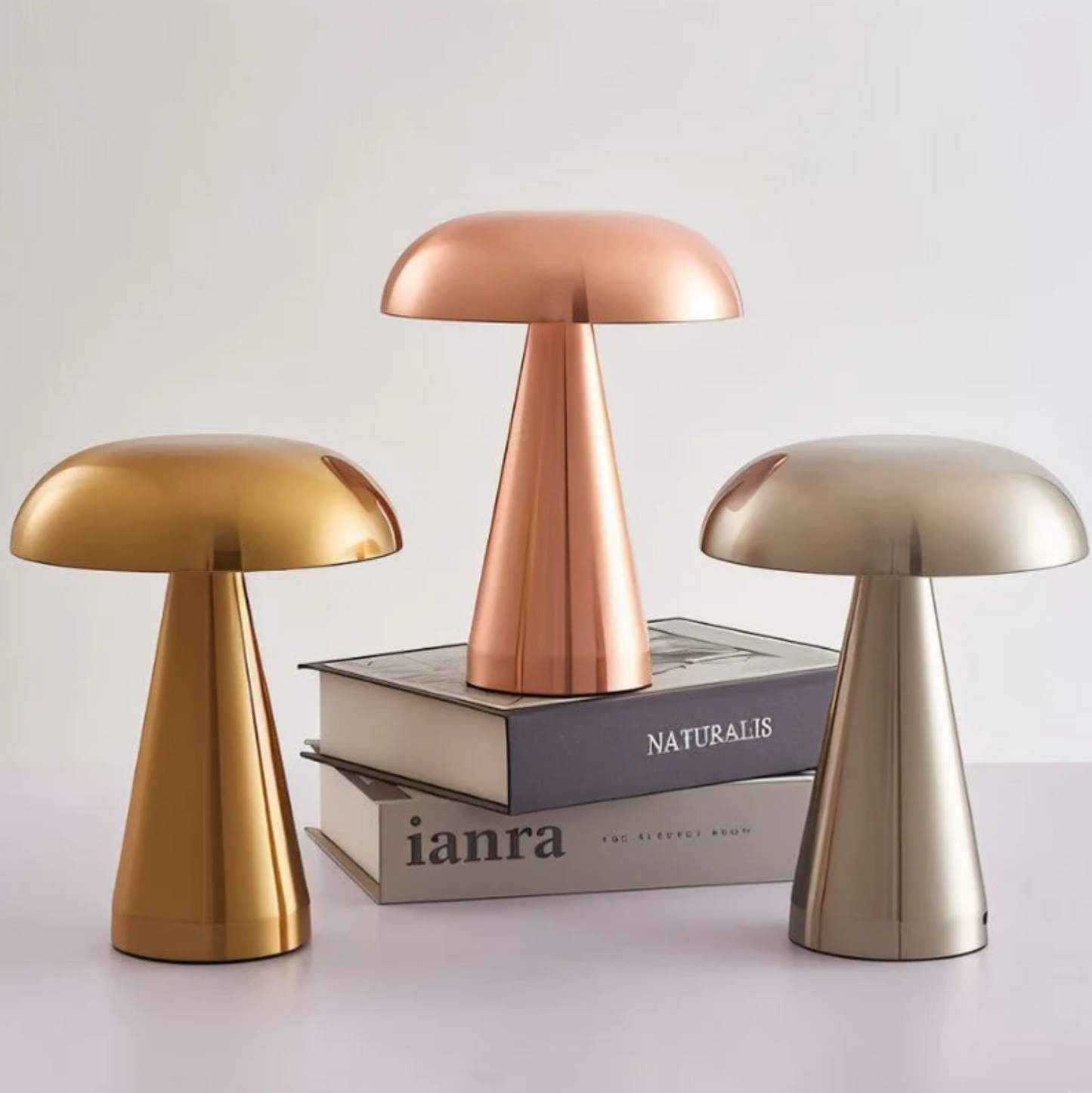 Brio Table Lamp